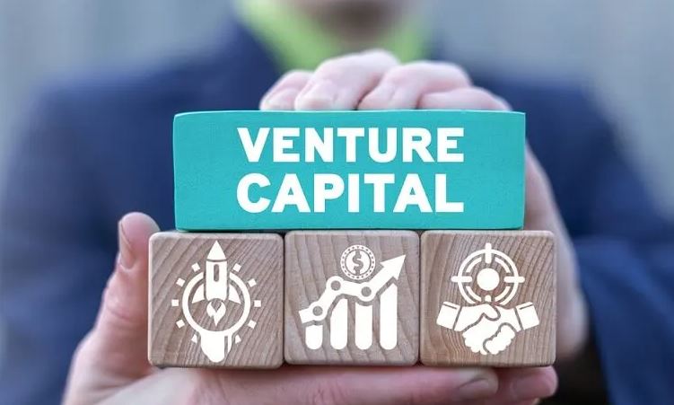 Apa Itu Venture Capital Cara Kerja Dan Jenis Jenisnya