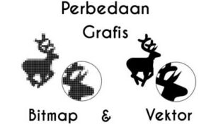 Pengertian Grafis, Jenis Grafis Berbasis Vektor dan Bitmap