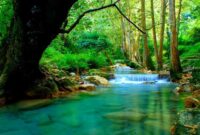 ekosistem sungai