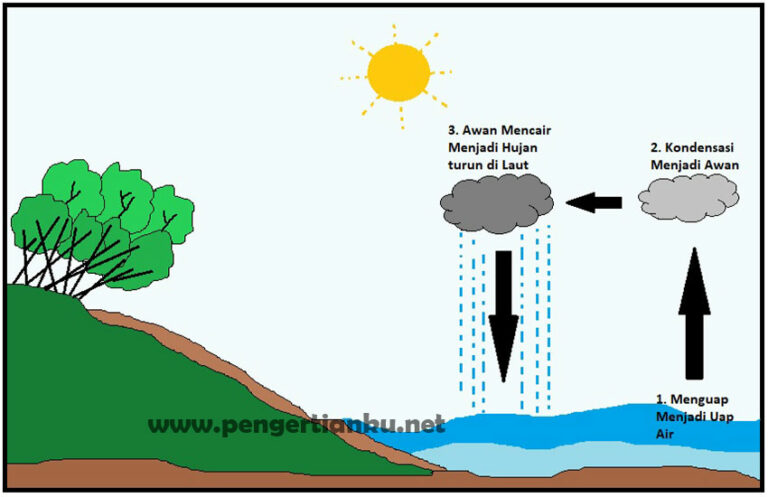 Siklus Hidrologi Pengertian Proses Dan Gambar Siklus Air Salamadian Riset Porn Sex Picture 2485